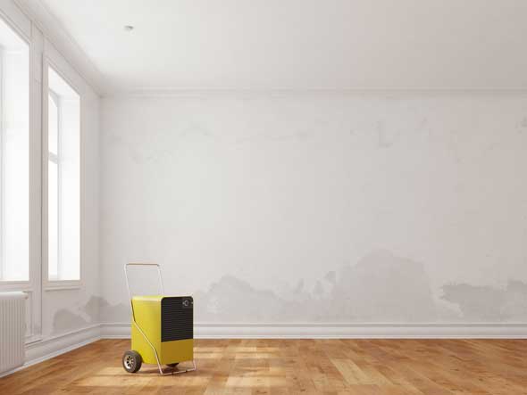 Dehumidifying-Servicesl-Company-Washington-DC