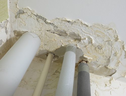 7 Ways to Identify Mold