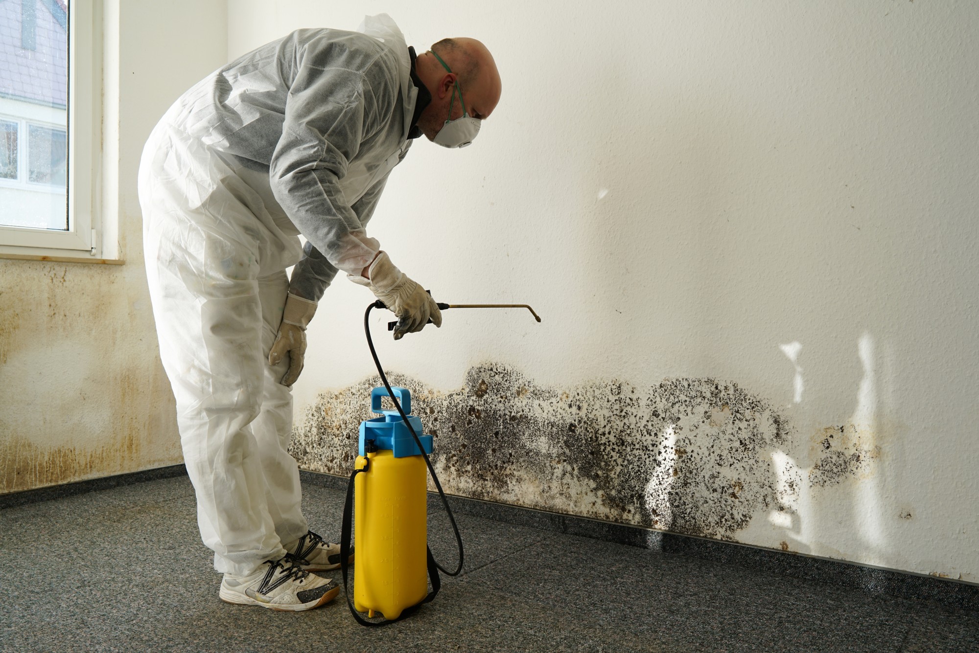 Common Causes of Home Water Damage Issues