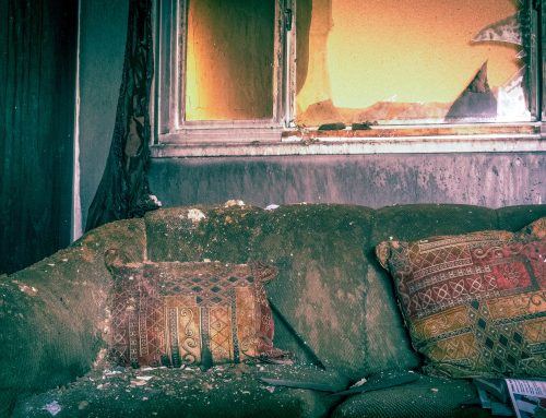 Everything You Need to Know About Fire Damage Restoration